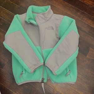 The North Face Green and Gray Puffer Jacket